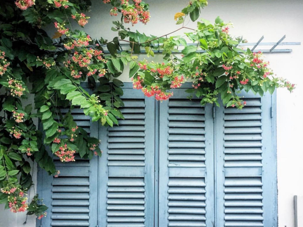 Plantation Shutters in Seven Hills